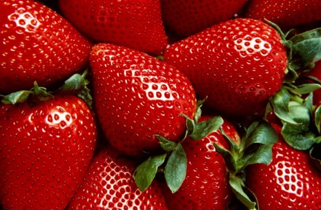 Frutilla OFERTA